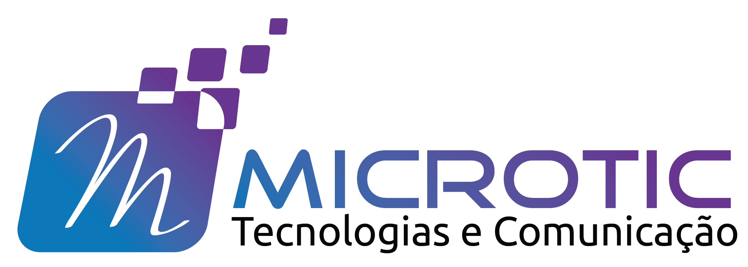 ERP MICROTIC